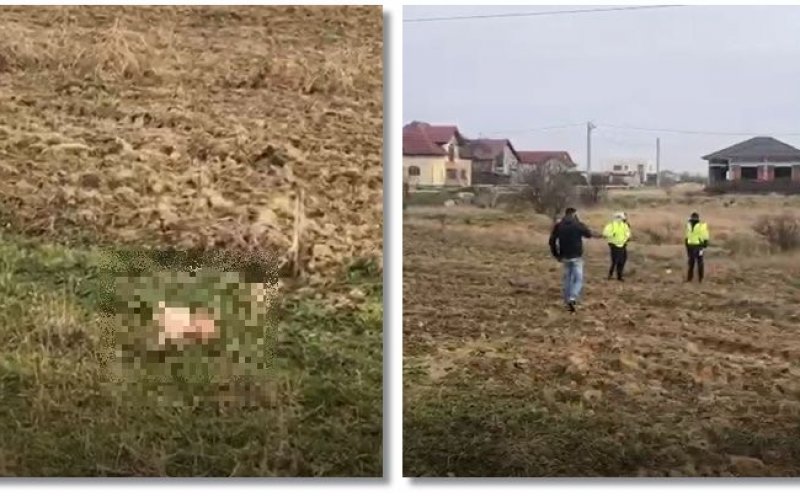 Un bebeluș a fost găsit mort pe un câmp. Mama este căutată de polițiști și acuzată de pruncucidere