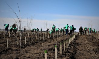 Clujul va fi înverzit pe 219 hectare în această primăvară