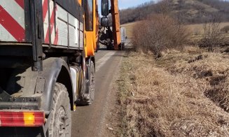 Lucrări de toaletare a copacilor de-a lungul drumurilor județene din Cluj