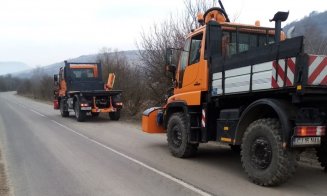 Se taie copacii care scad vizibilitatea în trafic pe drumurile județene din Cluj