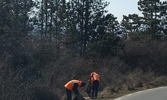 Tone de gunoaie strânse pe traseul Centurii de Nord la Florești. Pivariu: „Să răspundă în fața legii cei care aruncă deliberat deșeurile în locuri nea