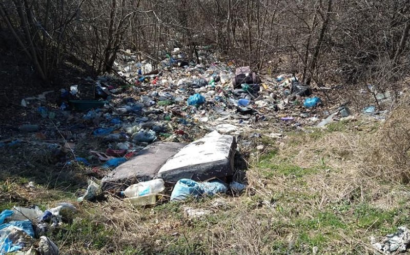 Tone de gunoaie strânse pe traseul Centurii de Nord la Florești. Pivariu: „Să răspundă în fața legii cei care aruncă deliberat deșeurile în locuri neautorizate”