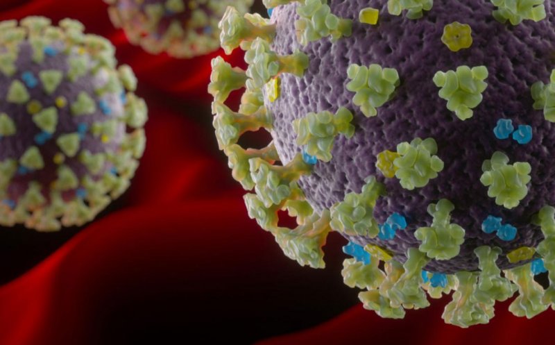 Pandemia cu noul coronavirus putea fi evitată. Ce au descoperit cercetătorii