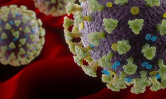 Pandemia cu noul coronavirus putea fi evitată. Ce au descoperit cercetătorii