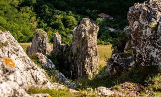 Unde fugim de-acasă? Cheile Turenilor, mica oază de sălbăticie la doar 30 de minute de Cluj-Napoca