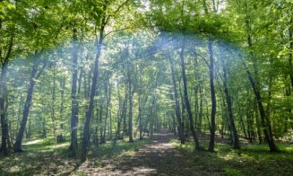 Floreștiul Verde. Primarul: „Noi suntem generația care simțim toate activitățile făcute prin distrugerea mediului”