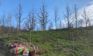 Parcul Tineretului – Pădurea Clujenilor este aproape gata