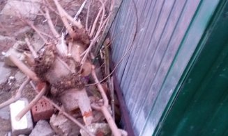 Grămada cere vârf! Gunoaie din martie în Mănăştur