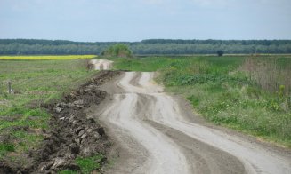 România a ajuns la 920 km de autostradă / Aproape 30% din drumurile publice sunt pietruite sau de pământ