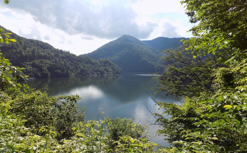 Acțiune de ecologizare a două drumuri turistice din Cluj. Când și unde se desfășoară