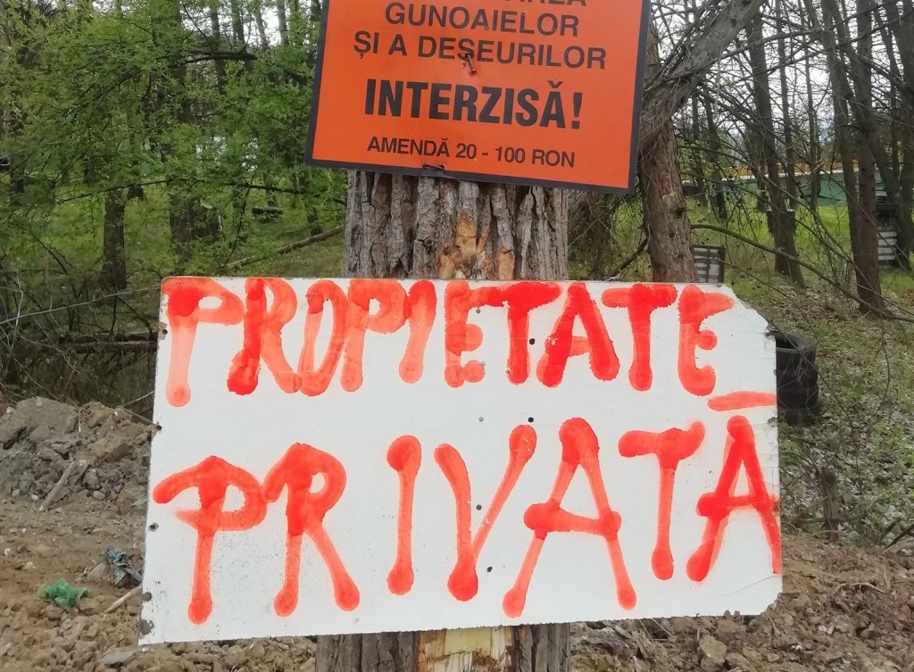 "Propietate privată": Analfabeţii funcţionali defrişează de zor la Cluj-Napoca. Se mai opune cineva