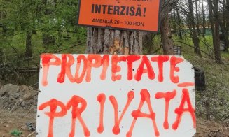 "Propietate privată": Analfabeţii funcţionali defrişează de zor la Cluj-Napoca. Se mai opune cineva