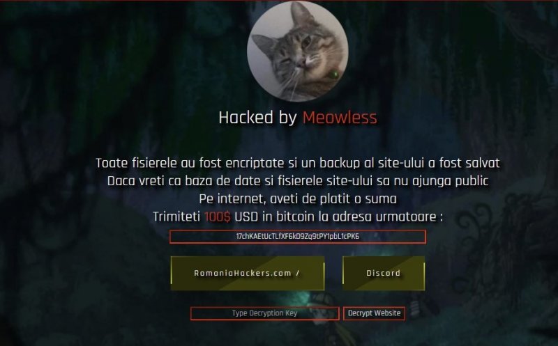 Site-ul Consiliului Județean Cluj, spart de hackeri. Cer răscumpărare în bitcoin / Ce spune purtătorul de cuvânt