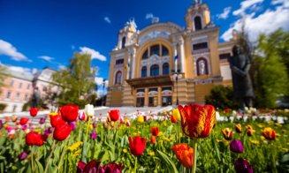 Primăvara s-a instalat la Cluj: lalele superbe și copaci înfloriți