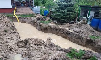 Biolog clujean, despre inundațiile din oraș. “Dacă facem blocuri balcon lângă balcon, vor ajunge sub ape cartiere întregi”