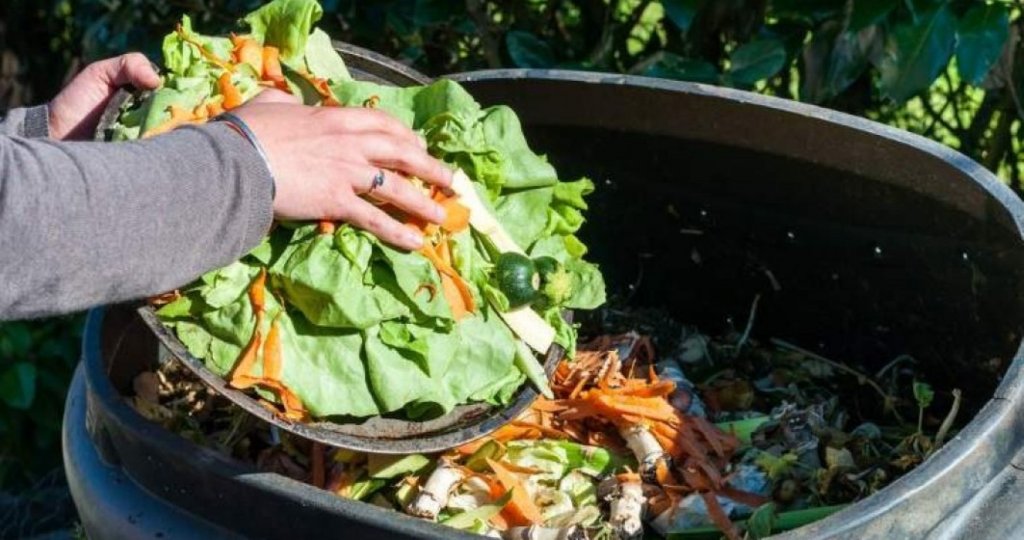 Două organizații clujene vor să reducă la jumătate deșeurile alimentare
