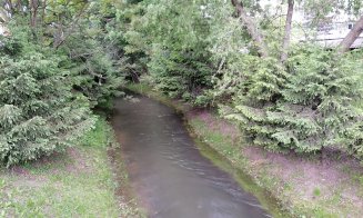 Cum își va dubla suprafața Parcul Rozelor. "Tot demolăm garajele Clujului de 20 de ani"