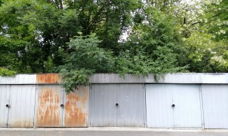 Cum își va dubla suprafața Parcul Rozelor. "Tot demolăm garajele Clujului de 20 de ani"
