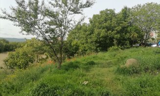 Cum își va dubla suprafața Parcul Rozelor. "Tot demolăm garajele Clujului de 20 de ani"