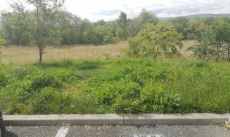Cum își va dubla suprafața Parcul Rozelor. "Tot demolăm garajele Clujului de 20 de ani"