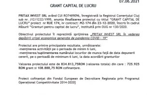 GRANT CAPITAL DE LUCRU