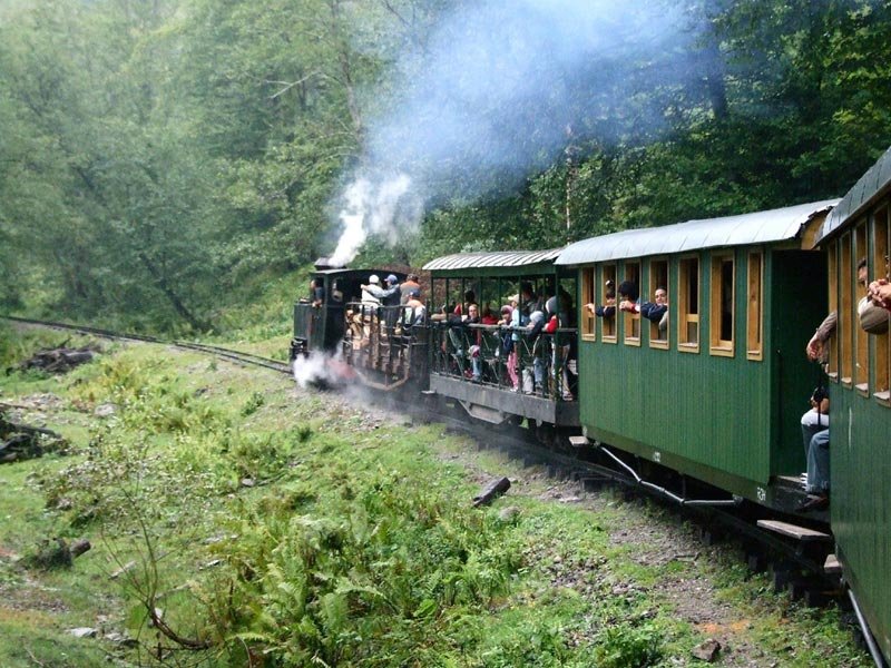 Revine MOCĂNIŢA în Ţara Moților. Trenulețul turistic care te poartă prin peisaje minunate