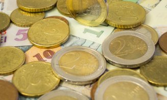 Euro a atins vineri un nou maxim istoric în raport cu leul