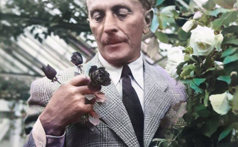 Rudolf Palocsay, cu un nou soi de trandafir