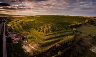 2021, an de poveste pentru Crama La Salina: vinuri medaliate la concursuri internaționale și un spumant care a făcut furori printre cunoscători