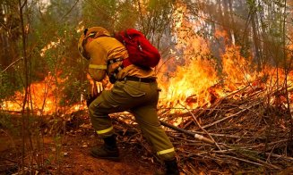 42 de morţi în incendiile din nordul Algeriei