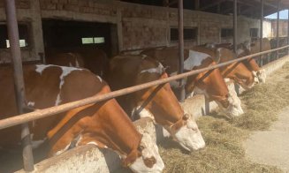 Europarlamentarul Daniel Buda, în vizită la fermierii din Transilvania: „Trebuie să le asigurăm un acces mai ușor la fondurile europene”