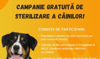 Campanie de sterilizare a câinilor din Florești. Bogdan Pivariu: „Ne dorim combaterea fenomenului de abandon”