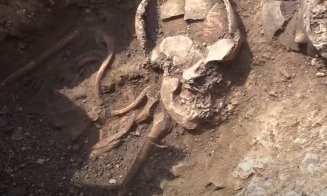Scheletele de 6.000 de ani, descoperite la Cluj, au stârnit interesul istoricilor la nivel global