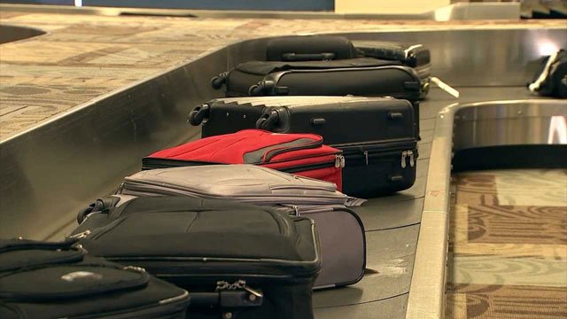 Cum arată Skinny și Sky, cățeii care miros drogurile de la distanță pe Aeroportul Cluj