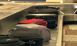 Cum arată Skinny și Sky, cățeii care miros drogurile de la distanță pe Aeroportul Cluj