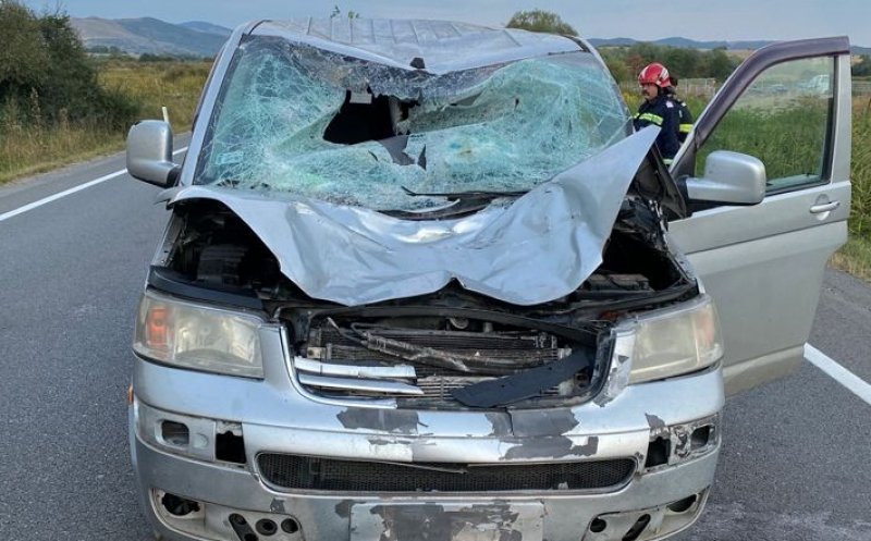 A fost accidentat mortal un cal care circula pe şoseaua naţională, la intrare în Huedin