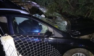 ACCIDENT la Cluj: O şoferiţă începătoare a fost descarcerată după ce a lovit în plin un cal