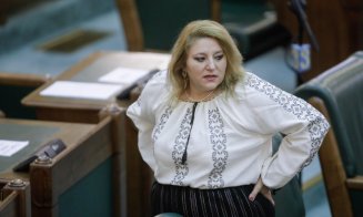 Youtube a blocat contul Senatului României din cauza declarațiilor Dianei Șoșoacă