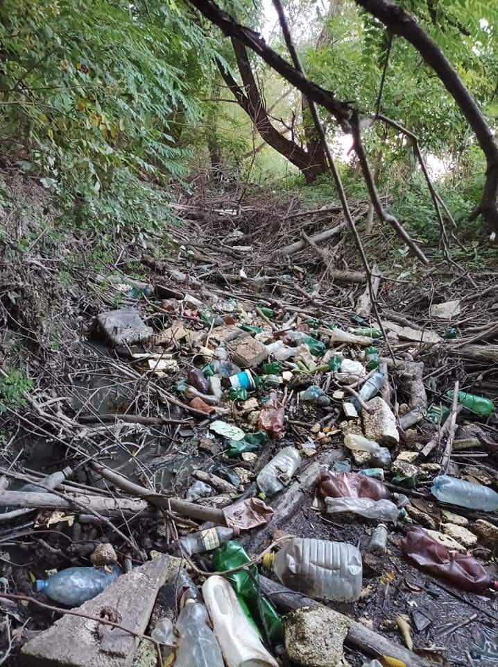 Activiştii, către primărie: "Sunt gunoaie în Parcul Est care duc la colmatarea Becașului. RADP ce face?"