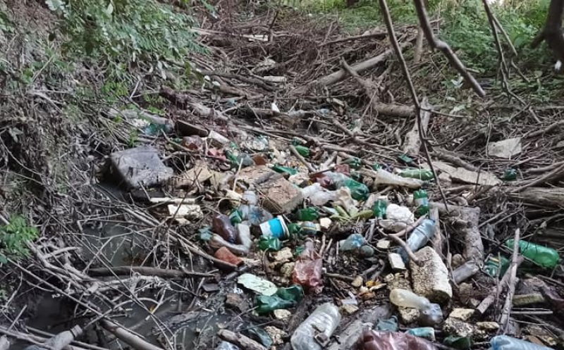 Activiştii, către primărie: "Sunt gunoaie în Parcul Est care duc la colmatarea Becașului. RADP ce face?"