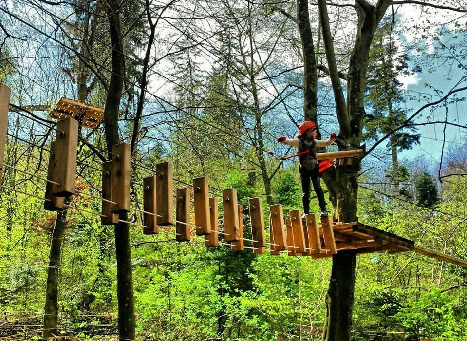 Restaurant și parc de aventură în zona Drumul Sfântul Ioan. Investitorul, patron de hoteluri, restaurante și benzinării din Bistriţa