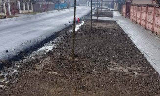 Un nou drum județean din Cluj a fost asfaltat integral! Cum arată acum