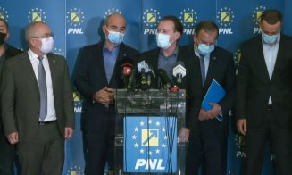 Cu cine vor filialele PNL să intre liberalii la guvernare. Clujul, de partea alianței cu PSD