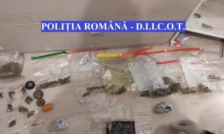 Percheziţii la traficanți de cannabis în Cluj. Zeci de persoane interogate și două reținute