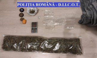 Percheziţii la traficanți de cannabis în Cluj. Zeci de persoane interogate și două reținute