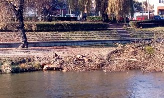 Ce se întâmplă pe malul stâng al Someşului, în zona Parcului Rozelor