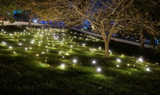 Lights On România aduce licurici și mesaje pentru diaspora, într-o ediție specială
