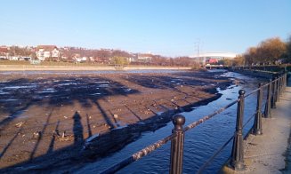 GUNOIUL lăsat în urmă autorităţi în "laguna albastră" de la Sala Sporturilor după marea acţiune de "recoltare"