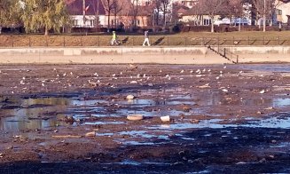 GUNOIUL lăsat în urmă autorităţi în "laguna albastră" de la Sala Sporturilor după marea acţiune de "recoltare"