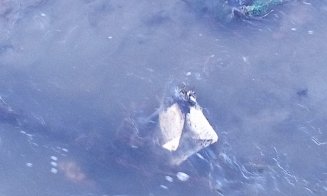 GUNOIUL lăsat în urmă autorităţi în "laguna albastră" de la Sala Sporturilor după marea acţiune de "recoltare"